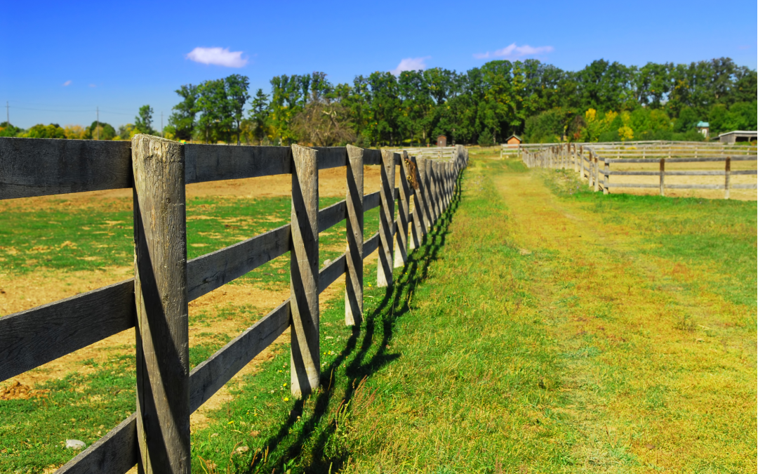 Fencing 1