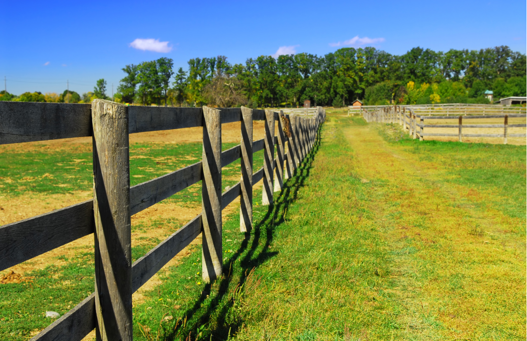 Fencing 1