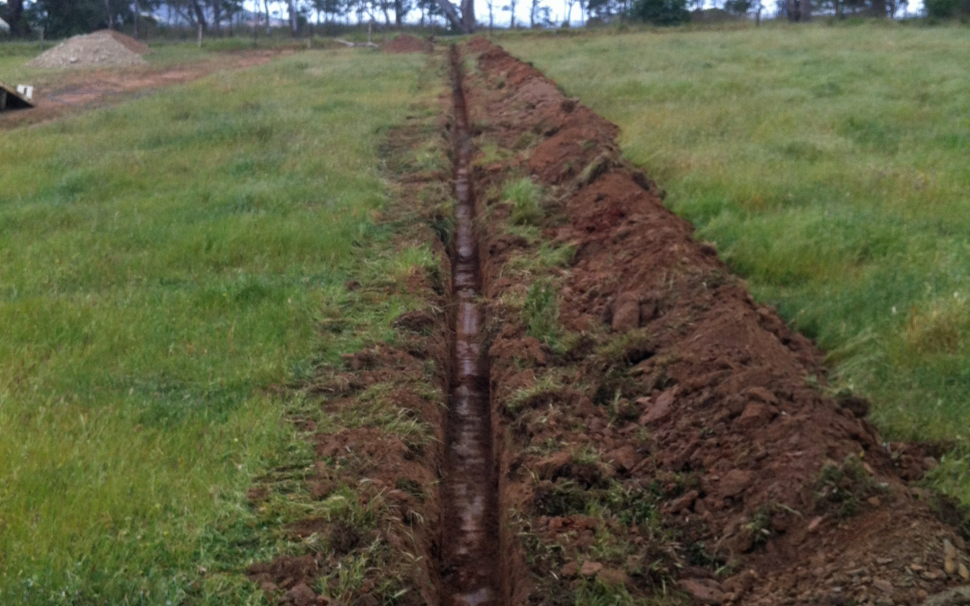 Trenching 1